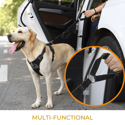iBuddy Car Travel iBuddy Dog Seat Belt for Cars, Headrest Restraint with Locking Carabiner