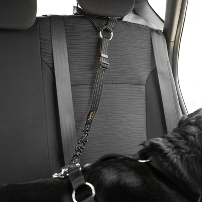 iBuddy Car Travel iBuddy Dog Seat Belt for Cars, Headrest Restraint with Locking Carabiner
