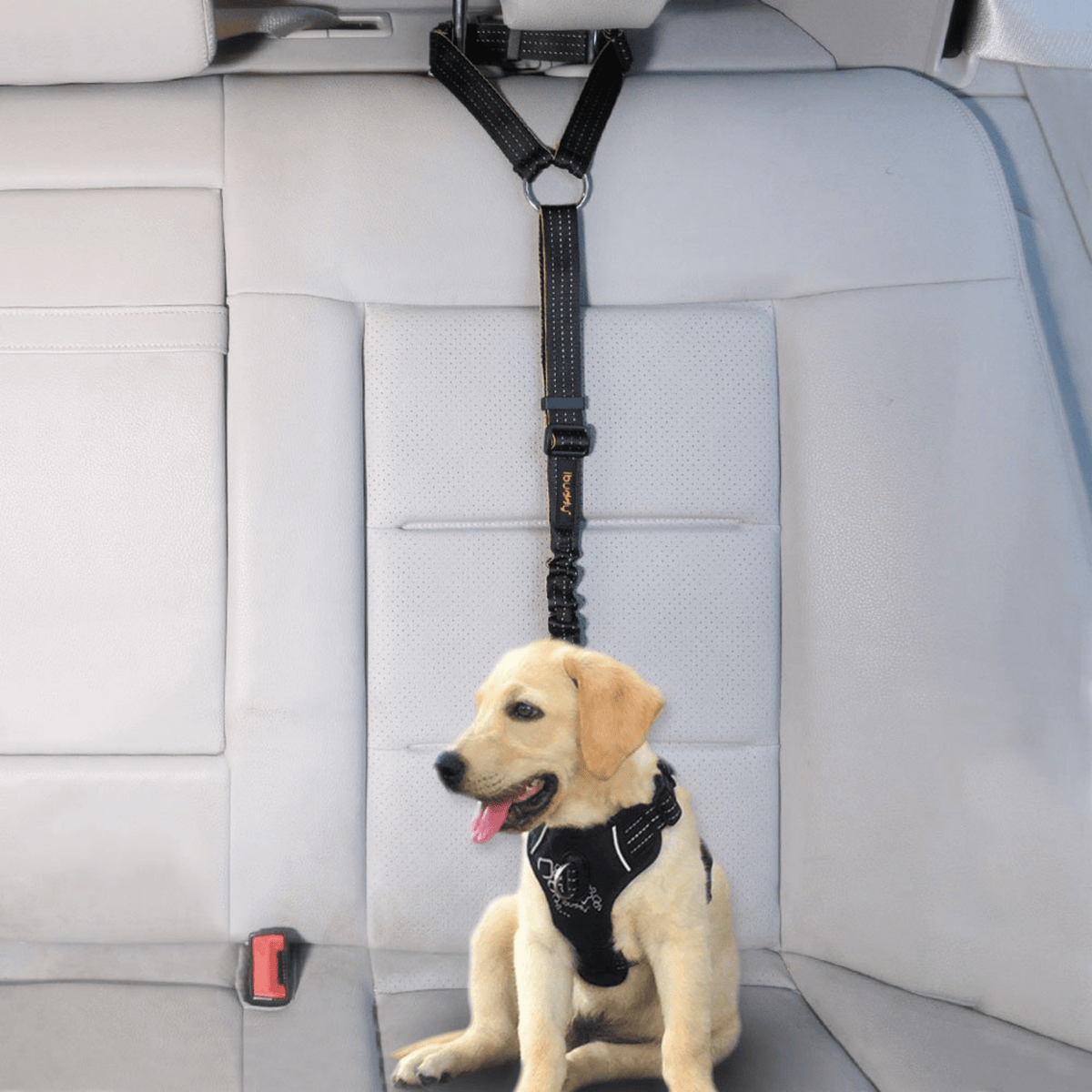 iBuddy Dog Seat Belt for Cars, Headrest Restraint with Carabiner