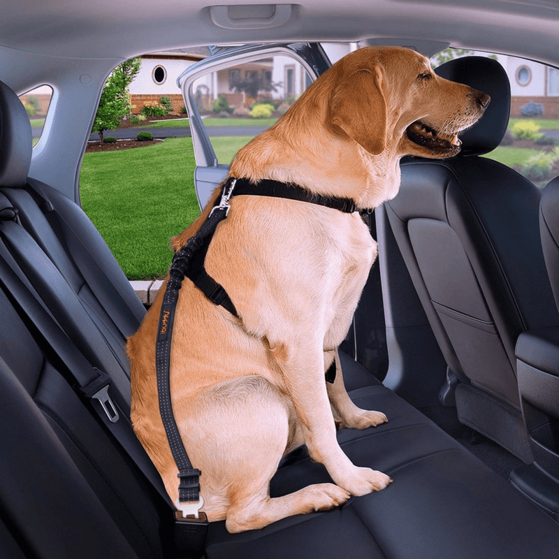 iBuddy Car Travel iBuddy Dog Seat Belt for Cars with Locking Carabiner