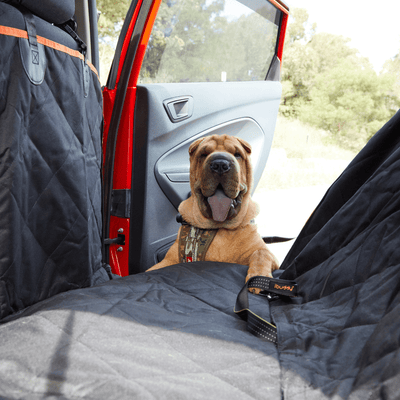 iBuddy Car Travel iBuddy Dog Seat Cover Car Hammock w/ Mesh Window & Dog Seat Belt