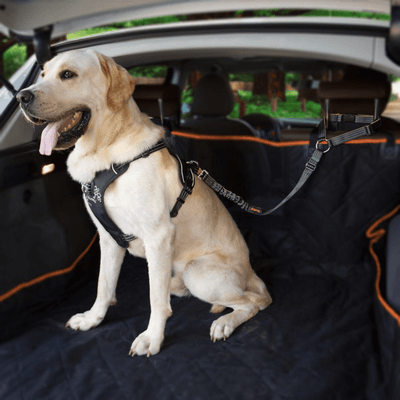 iBuddy Car Travel iBuddy Waterproof SUV Cargo Liner Cover for Dogs