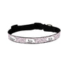 ID Pet Dog Collar Small (31-41cm) Personalised Dog Collar - Squiggle Pink