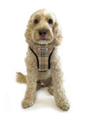 ID Pet Pet Harness Personalised Pet Harness - Furberry Oatmeal
