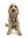 ID Pet Pet Harness Personalised Pet Harness - Furberry Pink