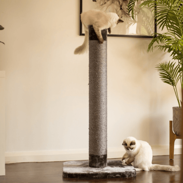 Kazoo Cat Scratching Post Charcoal Modern Pets