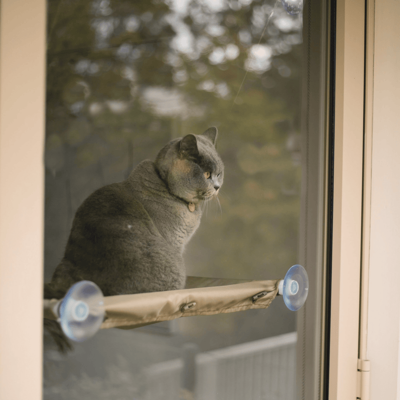 Kazoo Pet Bed The Lookout Deluxe Window Cat Bed