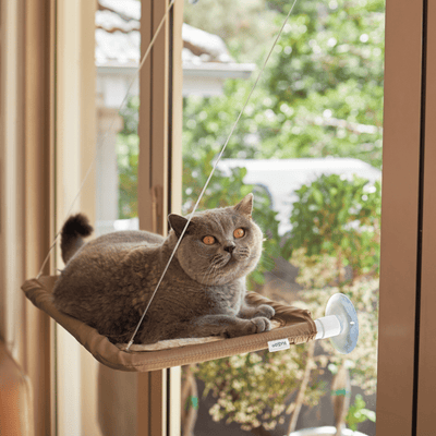 The Lookout Deluxe Window Cat Bed Modern Pets