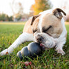 Kong Dog Toy Kong Extreme Classic Black, Ultra Tough Dog Chew Toy