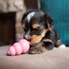 Kong Dog Toy Kong Puppy Small, Dog Chew Toy