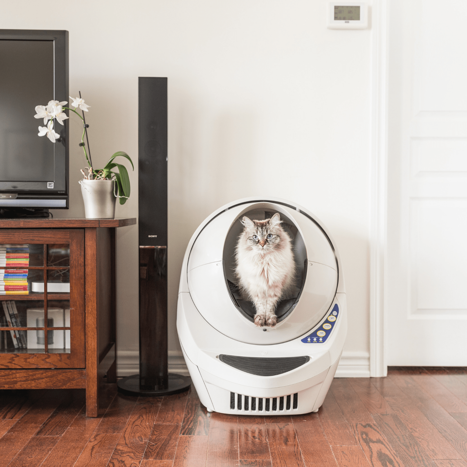 Automatic Litter Robot III Open Air Self Cleaning Litter Box