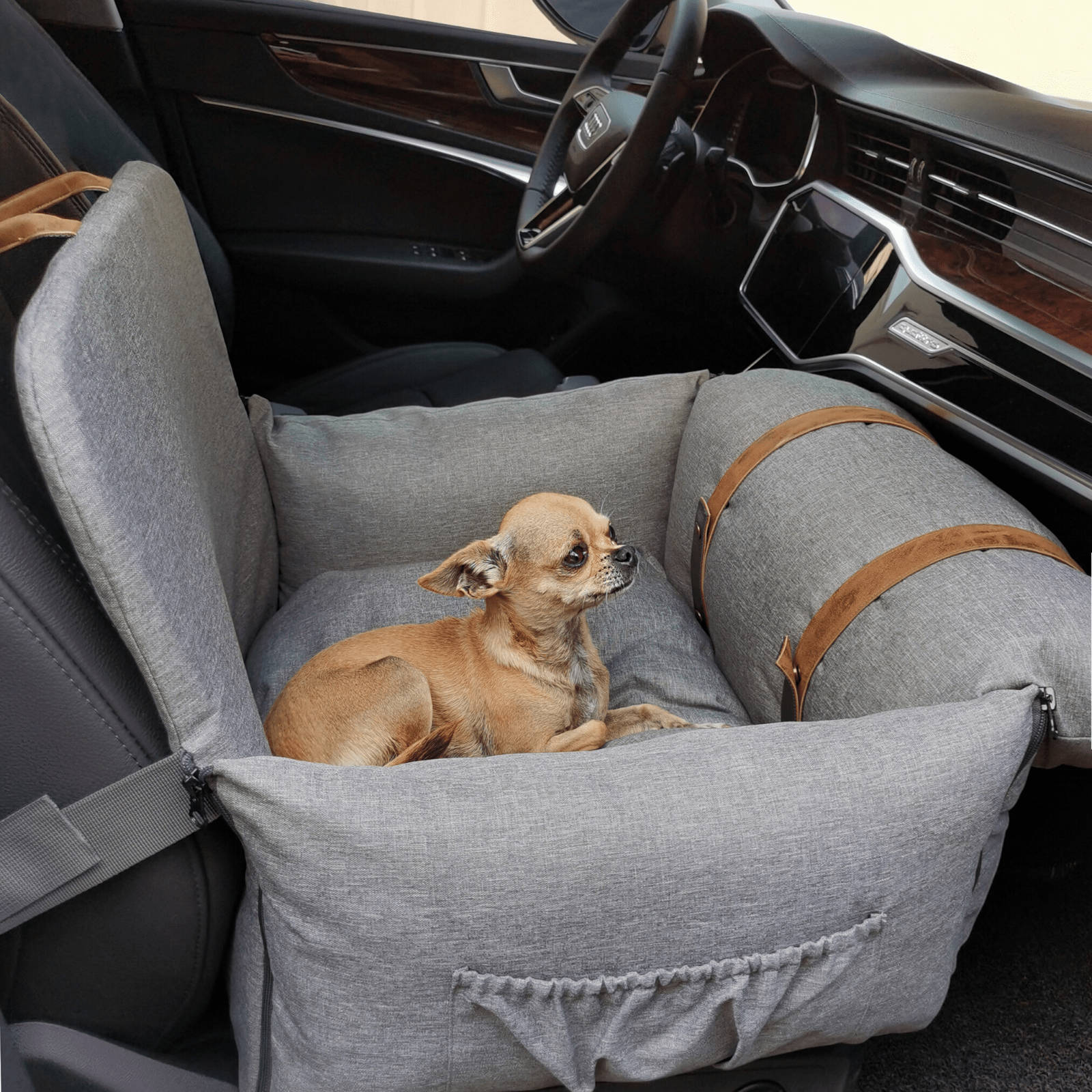 Dogs and leather car seats hotsell
