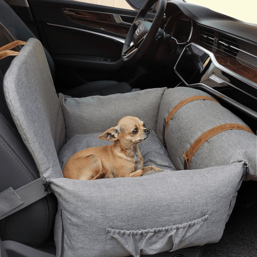 Car Seats and Travel Accessories for Dogs