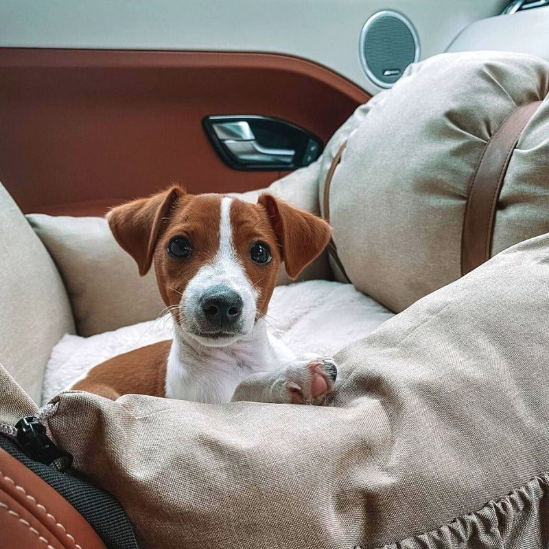 Modern Pets Car Travel Premium Dog Booster Seat for Small Pets