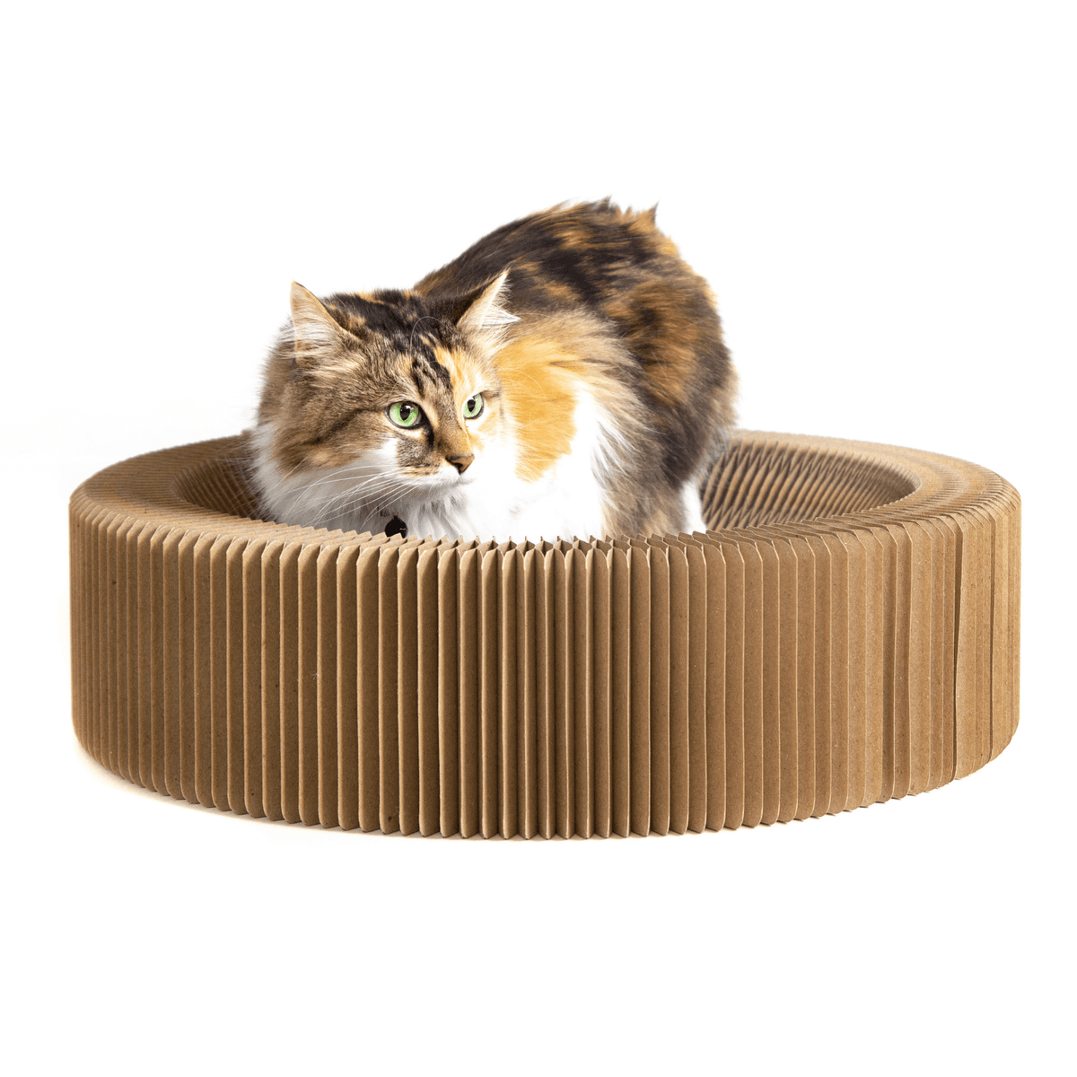 Cat Scratcher Collapsible Lounge, Round Scratching Board & Bed Modern