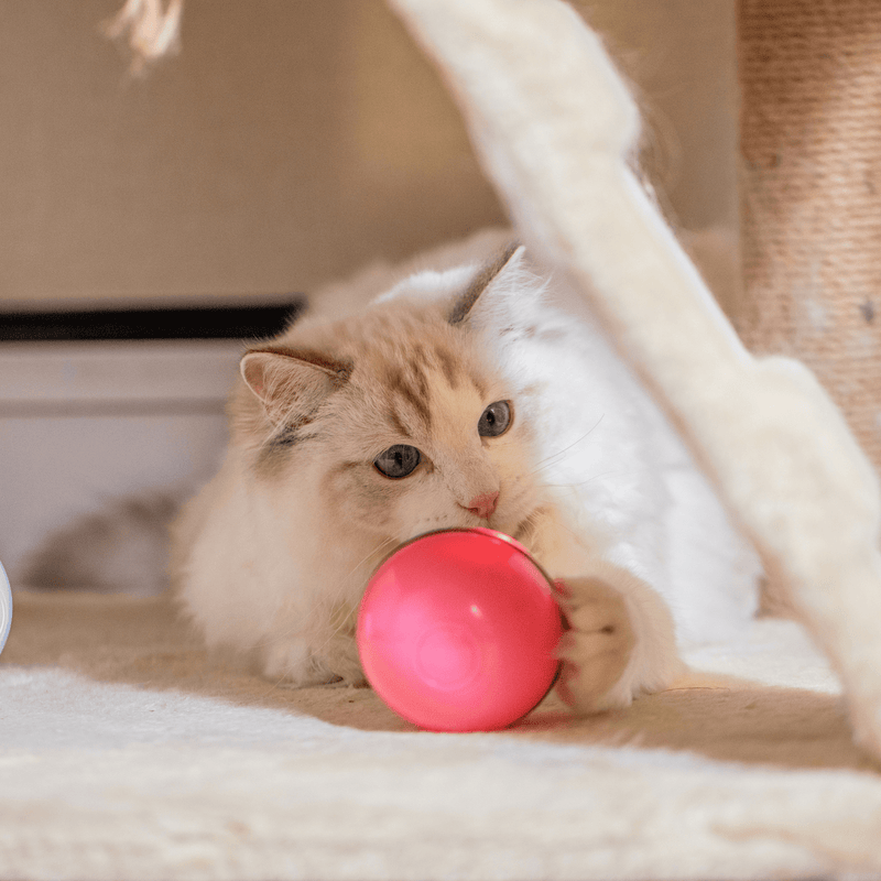 Modern Pets Cat Toy Automatic Rolling LED Dog and Cat Ball Toy