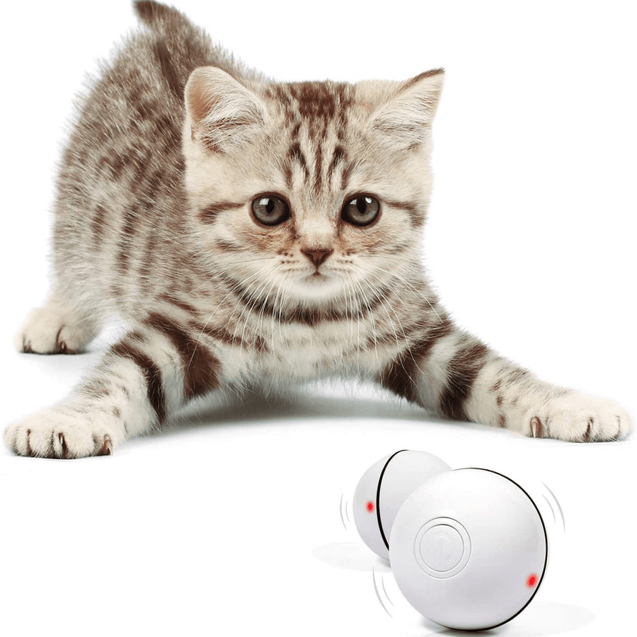 Modern Pets Cat Toy Automatic Rolling LED Dog and Cat Ball Toy