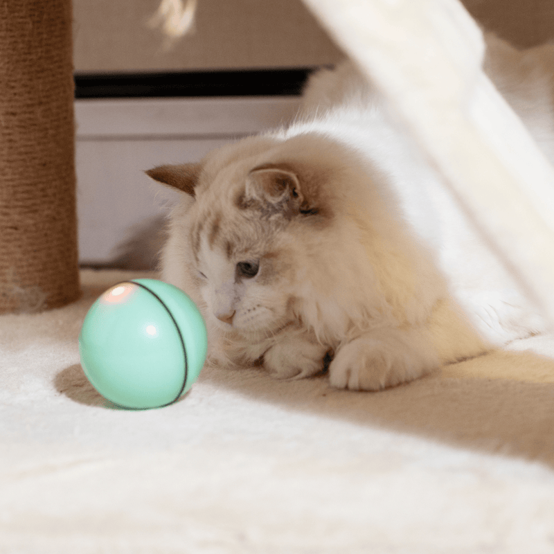 Modern Pets Cat Toy Automatic Rolling LED Dog and Cat Ball Toy