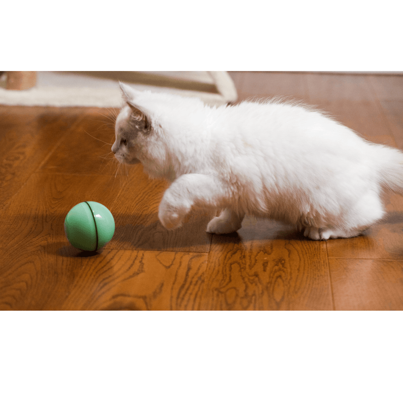 Modern Pets Cat Toy Automatic Rolling LED Dog and Cat Ball Toy