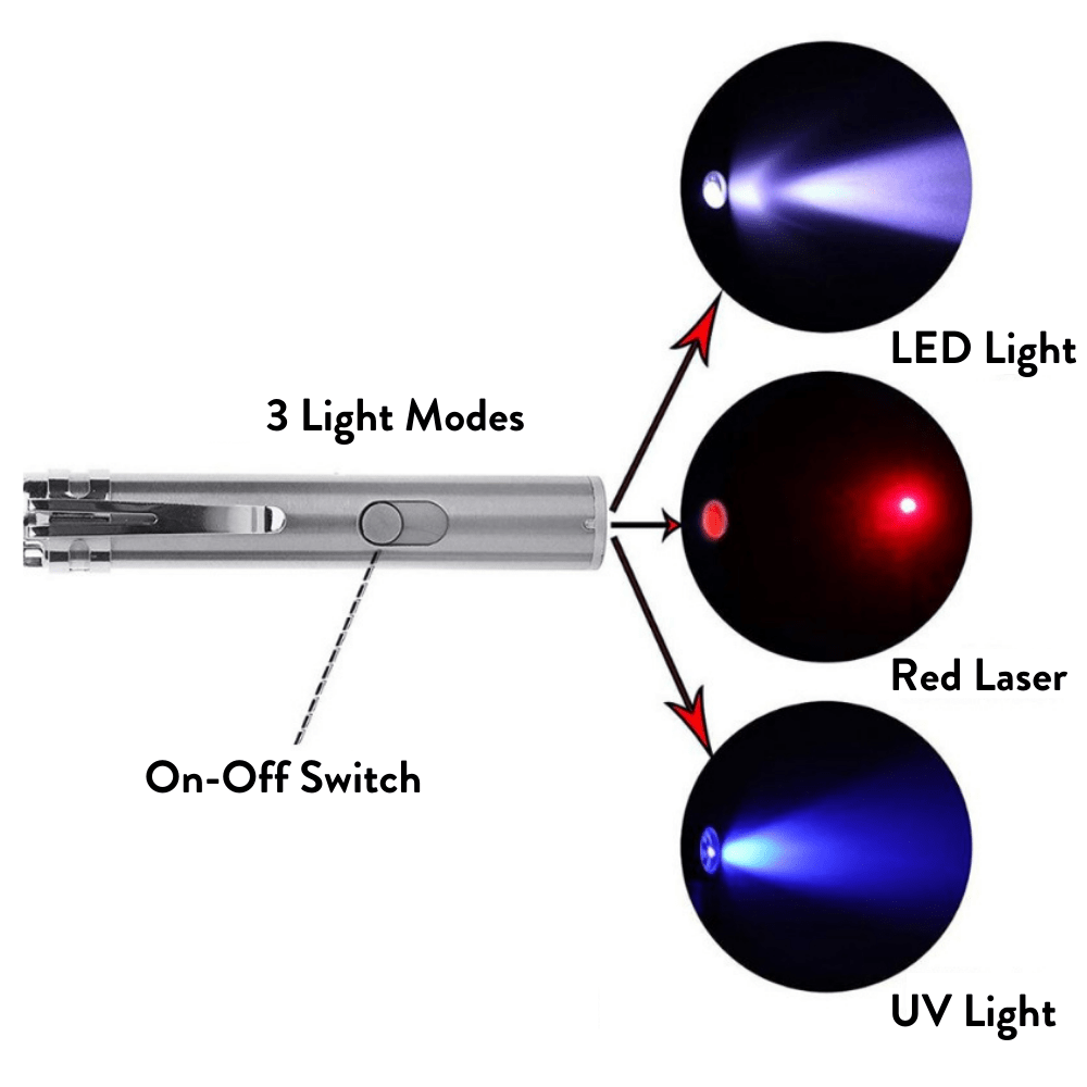 Modern Pets Cat Toy Interactive Cat Laser Pointer