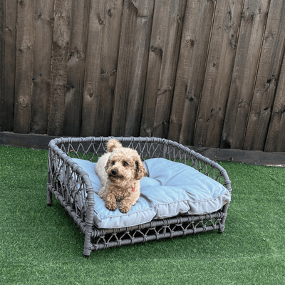Jacob Outdoor Wicker Rope Elevated Dog Bed Indoor Outdoor Pet Sofa