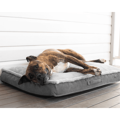 Modern Pets Dog Bed Luxury Dog Mattress Orthopedic, Storm Grey