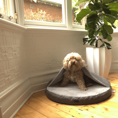 Modern Pets Dog Bed Round Canopy Dog Bed, Grey