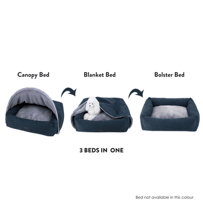 Canopy dog beds for large shop dogs