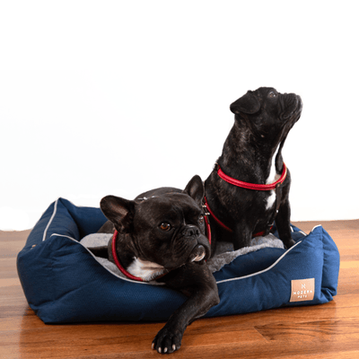 Modern Pets Pet Bed Luxury Dog Bed, Classic Navy Blue