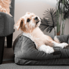 Modern Pets Pet Bed Luxury Dog Bolster Bed Orthopedic, Storm Grey