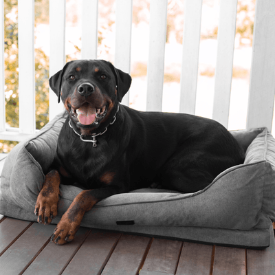Modern Pets Pet Bed Luxury Dog Bolster Bed Orthopedic, Storm Grey
