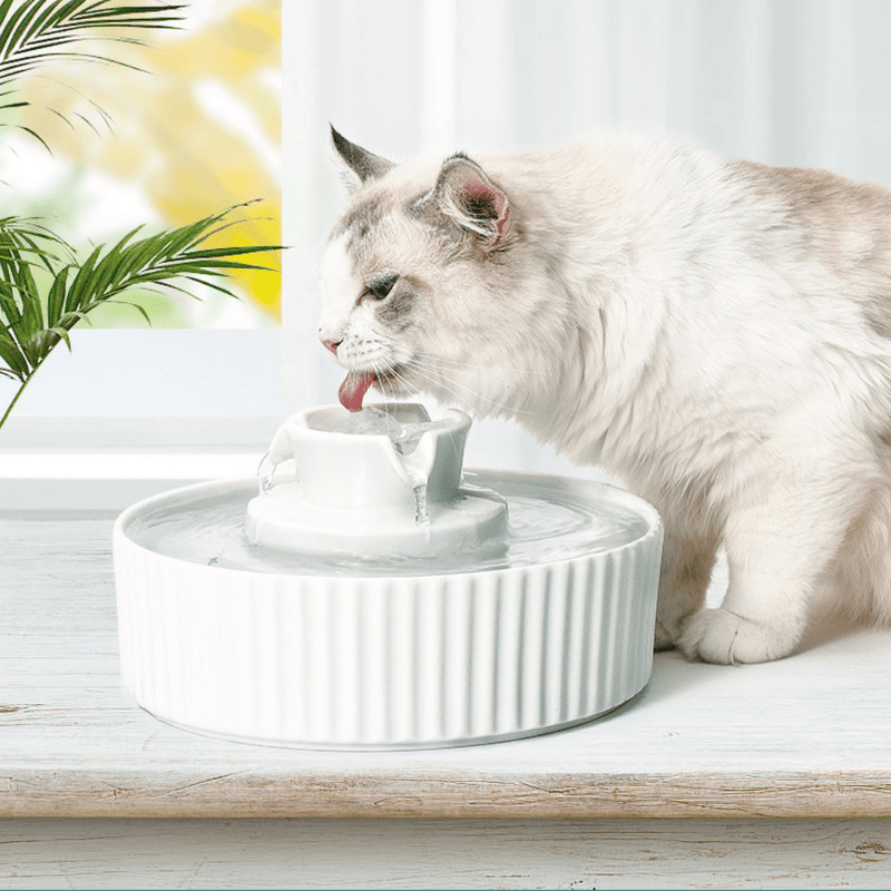 Ceramic Drinking Water Fountain for Dogs & Cats Modern Pets