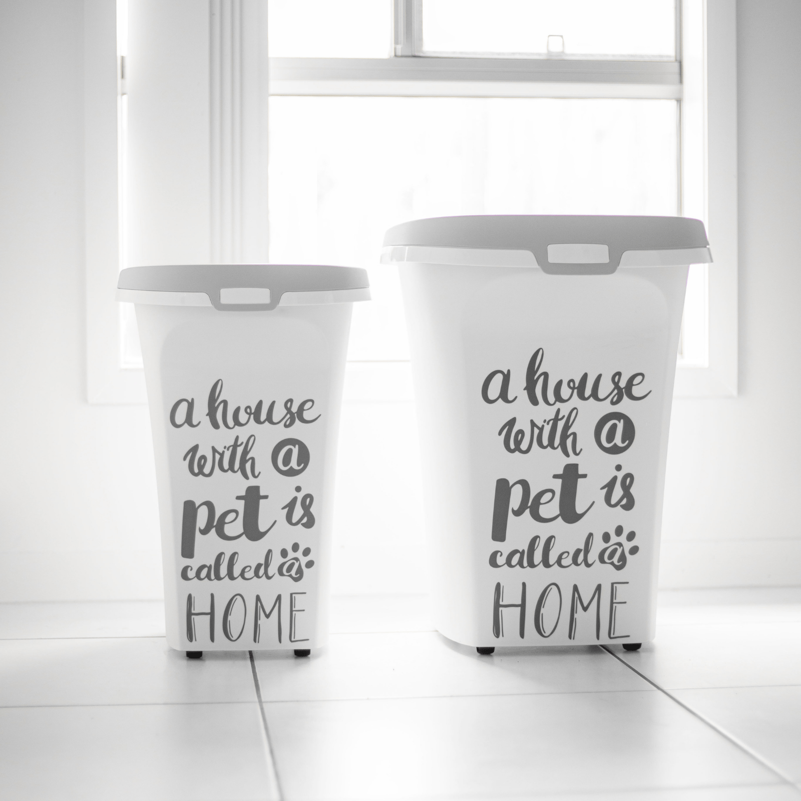 Pet storage container cheap
