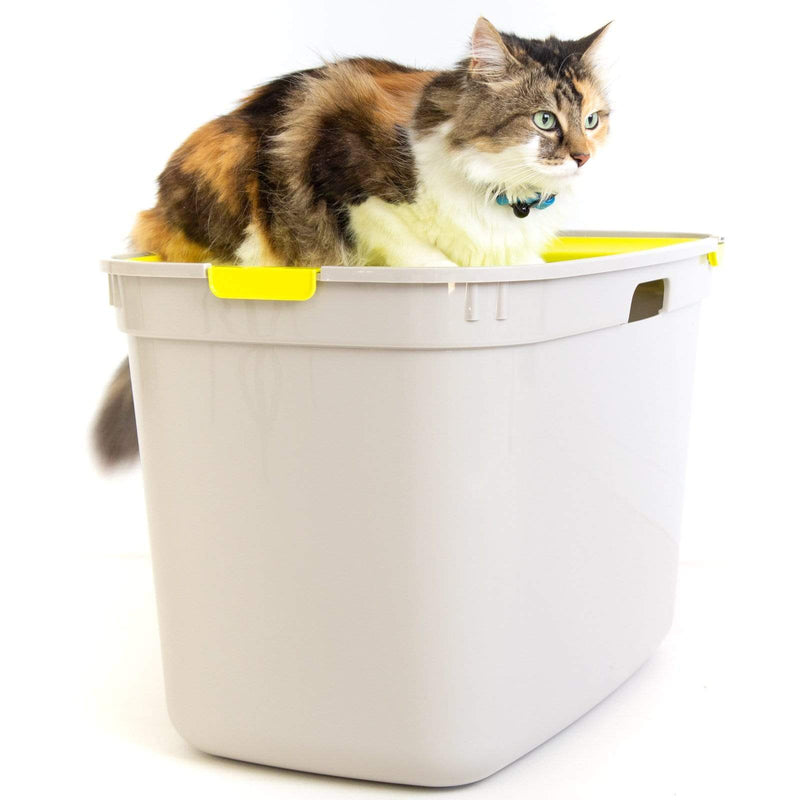 Top Entry Litter Box, Moderna Top Cat, Jumbo Size Modern Pets