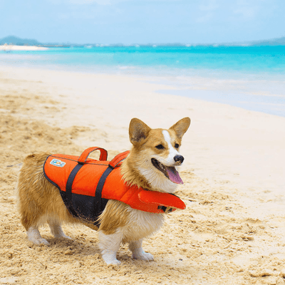 Outward Hound Dog Jacket Outward Hound Granby Ripstop Dog Life Jacket