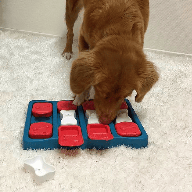 Outward Hound Dog Toy Nina Ottosson Dog Puzzle Toy Interactive Treat Dispenser, Dog Brick
