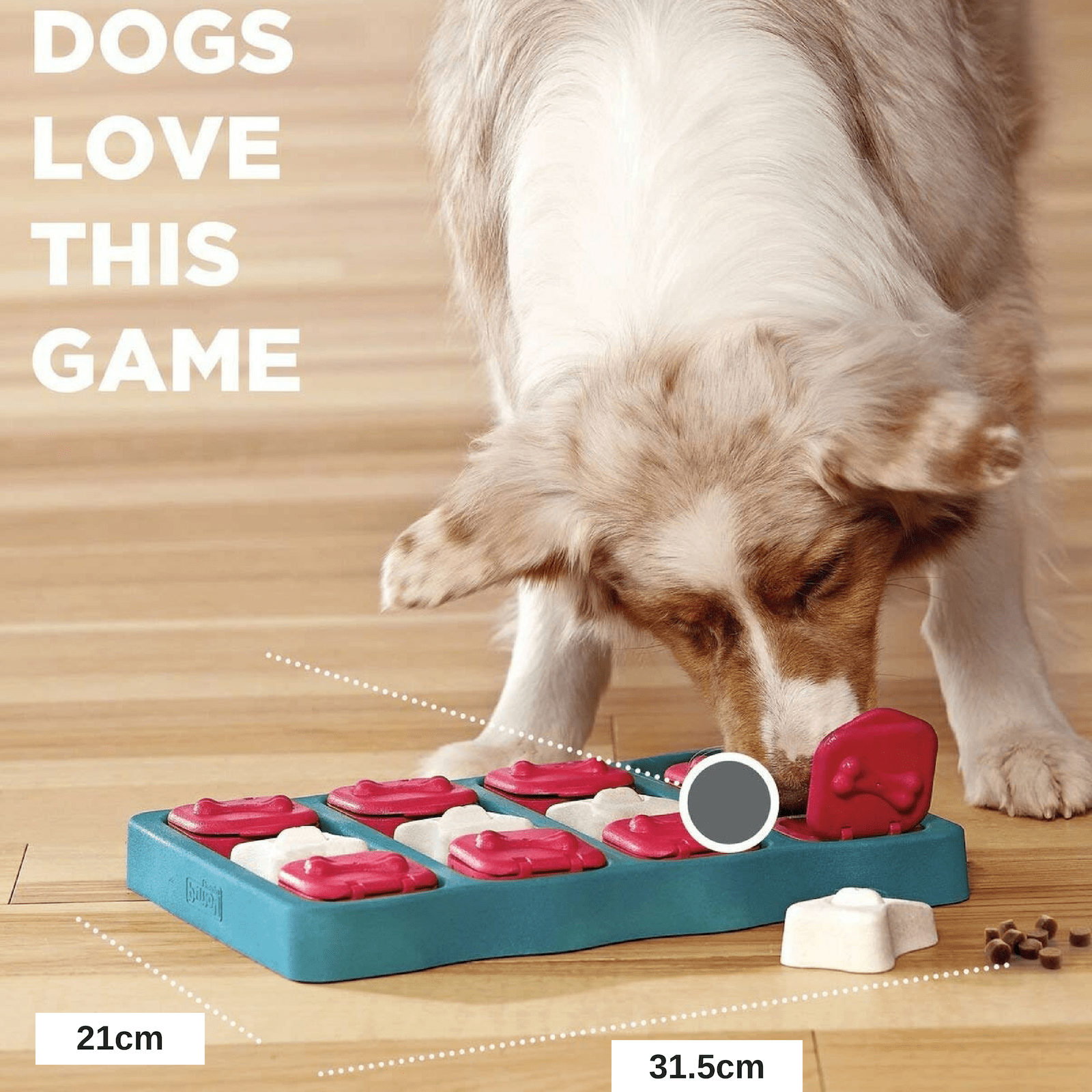 Nina Ottosson Dog Puzzle Toy Interactive Treat Dispenser Dog