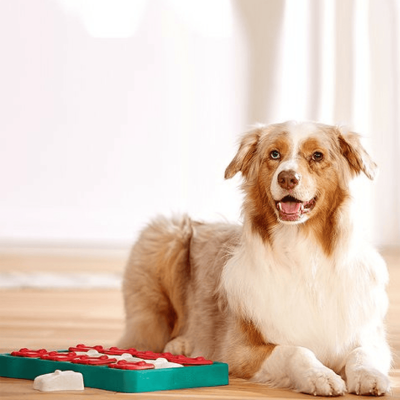 Outward Hound Dog Toy Nina Ottosson Dog Puzzle Toy Interactive Treat Dispenser, Dog Brick