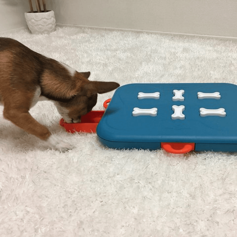 Outward Hound Dog Toy Nina Ottosson Dog Puzzle Toy Interactive Treat Dispenser, Dog Casino