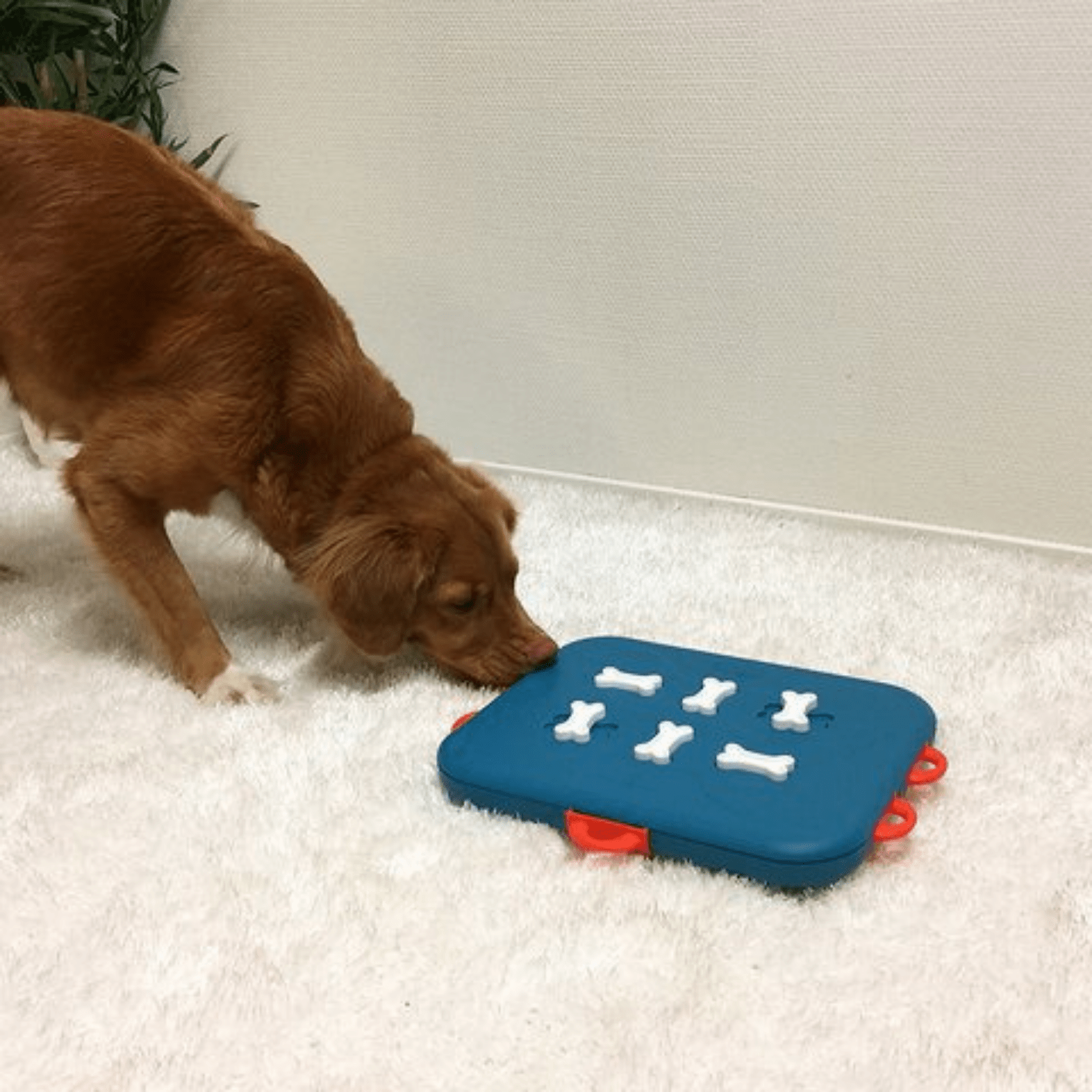 Outward Hound Dog Toy Nina Ottosson Dog Puzzle Toy Interactive Treat Dispenser, Dog Casino