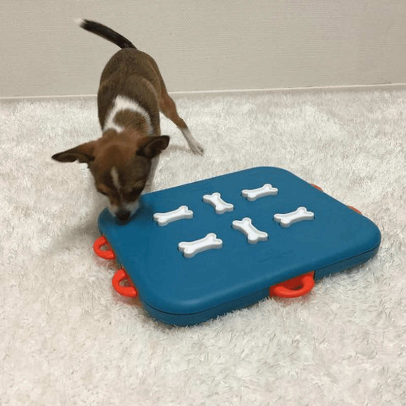 Outward Hound Dog Toy Nina Ottosson Dog Puzzle Toy Interactive Treat Dispenser, Dog Casino