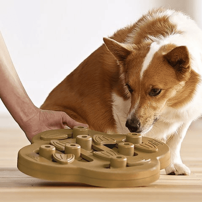 Outward Hound Dog Toy Nina Ottosson Dog Puzzle Toy Interactive Treat Dispenser, Hide N Slide