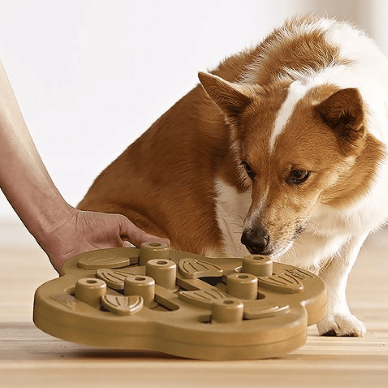 Outward Hound Dog Toy Nina Ottosson Dog Puzzle Toy Interactive Treat Dispenser, Hide N Slide