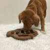 Outward Hound Dog Toy Nina Ottosson Dog Puzzle Toy Interactive Treat Dispenser, Hide N Slide
