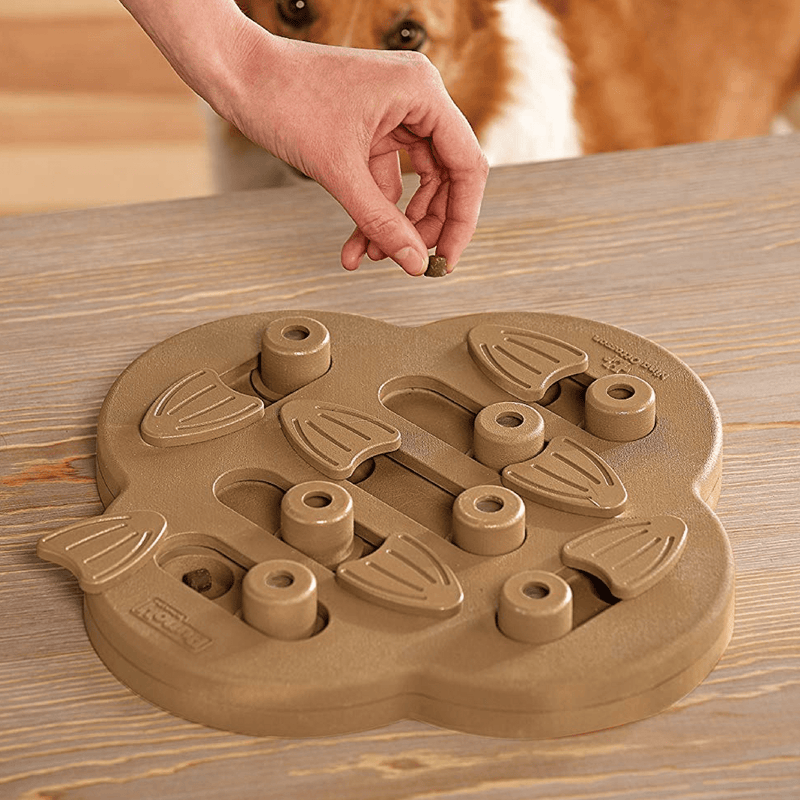 Outward Hound Dog Toy Nina Ottosson Dog Puzzle Toy Interactive Treat Dispenser, Hide N Slide