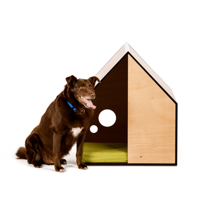 Pen Dog House Designer Dog House, The Dog Room, Plywood