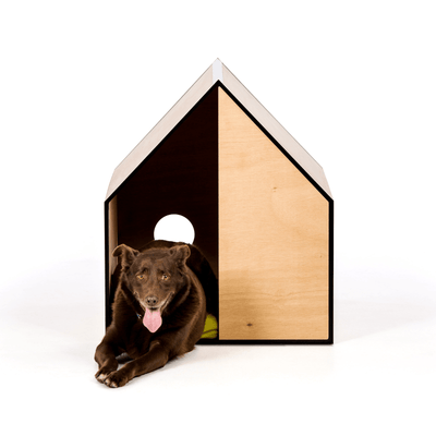 Pen Dog House Designer Dog House, The Dog Room, Plywood