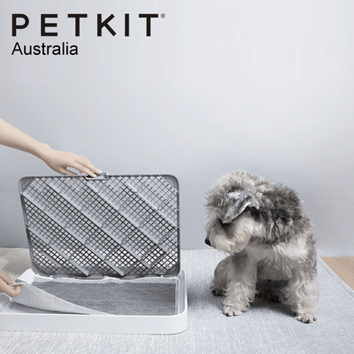 Petkit Cleaning & Odor Control Petkit Dog Carbon Training Pads, 50 Pack