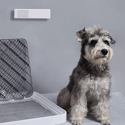 Pet odor eliminator best sale air purifier