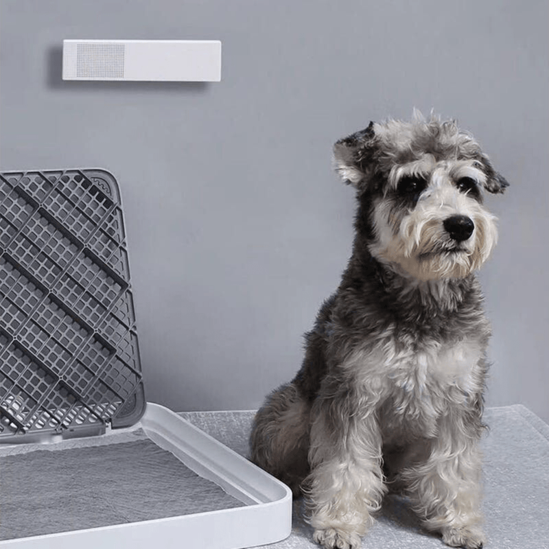 Petkit Cleaning & Odor Control Petkit Pura Air Smart Odour Eliminator Air Purifier